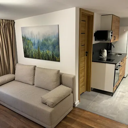 Gray 24h - Parking On The Street Apartment Kattowitz