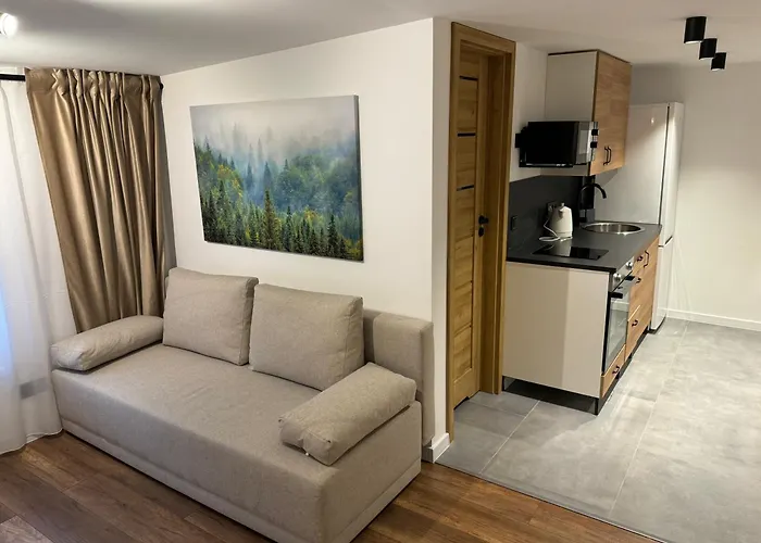 Gray 24h - Parking On The Street דירה קטוביץ